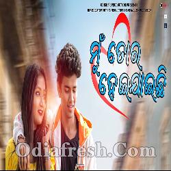 Mu Tora Heijaichi - Odia Romantic Song